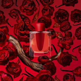 Ginza - Eau de Parfum Intense