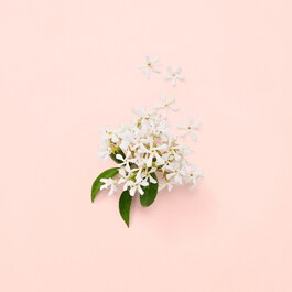 Gucci Bloom - Eau de Parfum Florale Poudrée