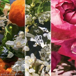 Aqua Allegoria - Mandarine Basilic - Eau De Toilette