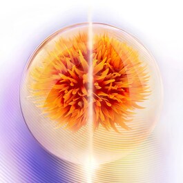 Vital Perfection - Soin Nuit Intensif Fermeté 