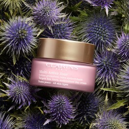 Multi-Active jour - Crème Premières Rides Antioxydante Peaux Normales