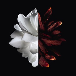 L'Interdit - Eau de Parfum Rouge