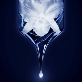 Orchidee Imperiale - Foaming Gel