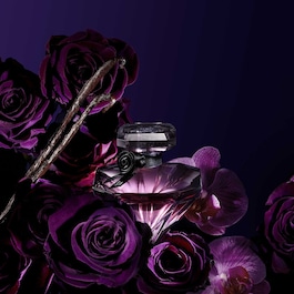 Lancôme La Nuit Trésor - Eau de Parfum
