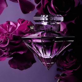 La Nuit Trésor - Le Parfum