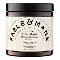 Glanzhaarmaske - Mit Schwarztee, FABLE & MANE