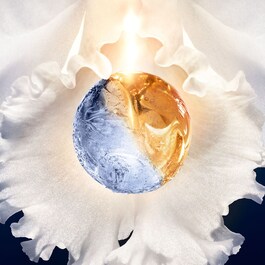 Orchidee Imperiale - Foaming Gel