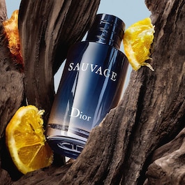 Sauvage - Eau de Toilette für Herren - Würzige, ambrierte & holzige Noten